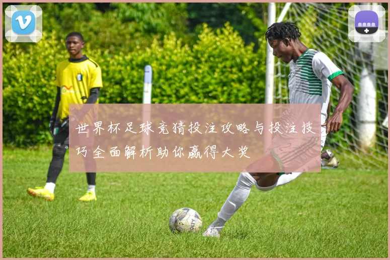 世界杯足球竞猜投注攻略与投注技巧全面解析助你赢得大奖